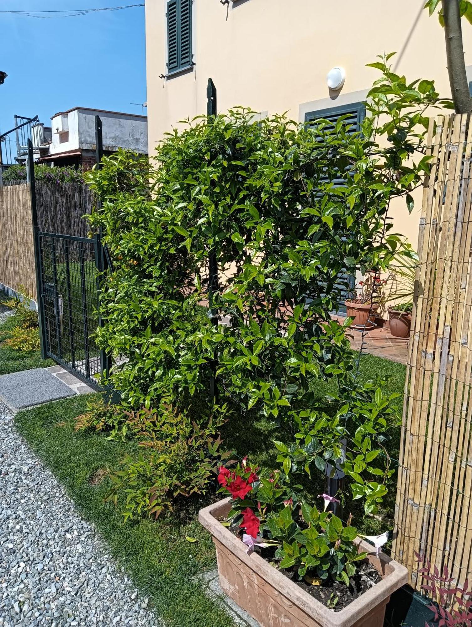 Casa Vacanze Rustico Di Corte Capannori Exterior photo
